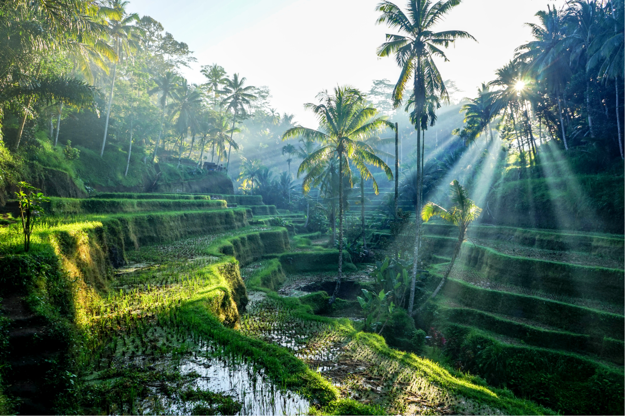 6 Tempat Wisata Terbaik Indonesia Dengan Keindahan Surga Alam Menakjubkan
